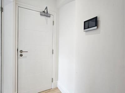 Picture 7